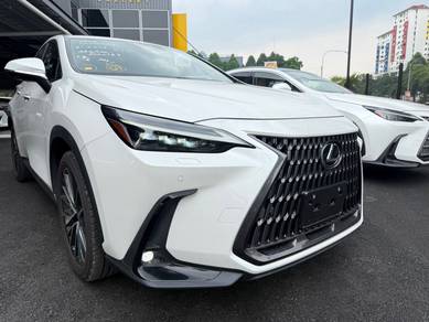 Lexus NX 250 LUXURY in KLCC, KUL