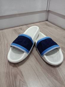 Original APL techloom Slides