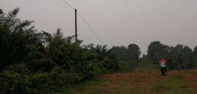 Agricultural Land in Bukit Mertajam, PNG