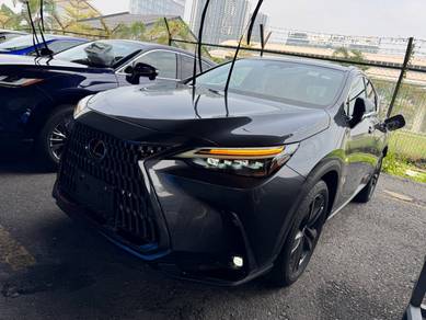 Lexus NX 250 LUXURY in Cheras, KUL