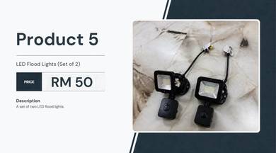 LED Flood Lights ( Set of 2)