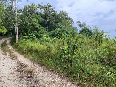 Agricultural Land in Temerloh, PHG