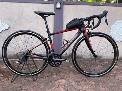 Roadbike Camp Neon