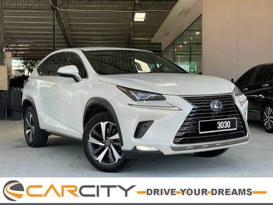 Lexus NX 300 PREMIUM in Seri Kembangan, SGR