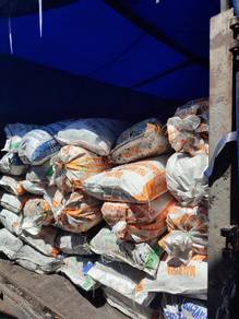 Sekam padi bakar untuk tanam halia 5366