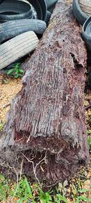 Kayu Cengal Wooden Masterpiece (Rustic)