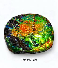 双面班彩石|Double-Sided Ammolite