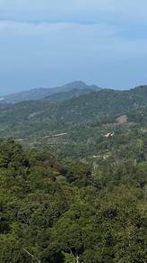 Agricultural Land in Kota Belud, SBH