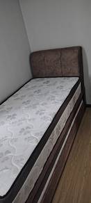 Pull Out Single Bed (Brown) With 10" Matress