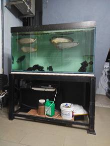 Monster Aquarium Tank 5 Feet