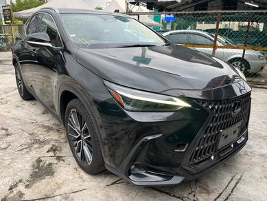 2023 Lexus NX 250 LUXURY