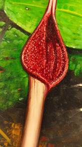 Bold Red Floral Oil Painting