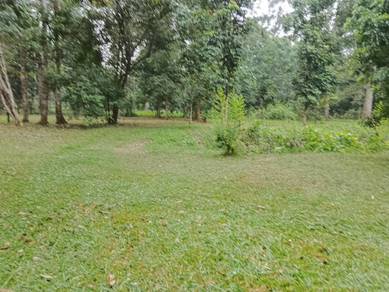 Agricultural Land in Besut, TRG