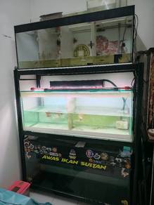 4ft Tank