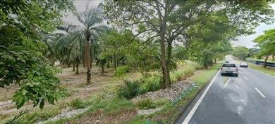 Agricultural Land in Kluang, JHR