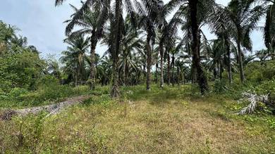 Residential Land in Alor Gajah, MLK