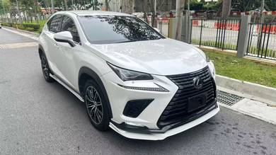 Lexus NX 300 PREMIUM in Gelugor, PNG