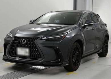 Lexus NX 250 VERSION L in Kuching, SWK