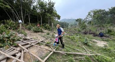 Agricultural Land in Gemas, NSN