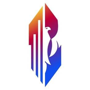 Executive Company Driver