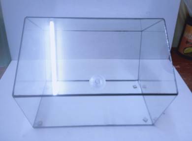 balang kaca terrarium baru 