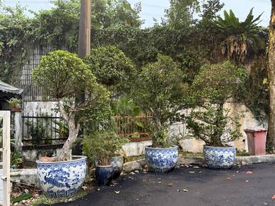 4 piece vintage bonsai