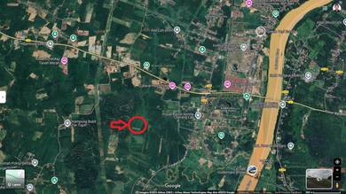 Agricultural Land in Tanah Merah, KTN