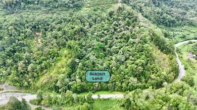 Agricultural Land in Kota Belud, SBH