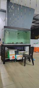 Monster Aquarium Tank 5 Feet