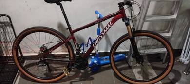mountain bike