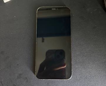Iphone 12 Pro
