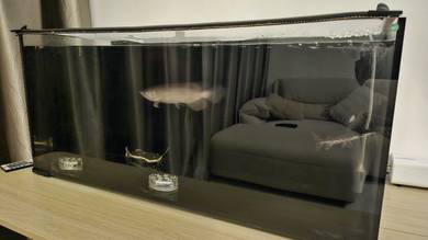 Aquarium