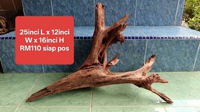 akar driftwood hiasan akuarium BERCABANG