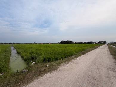 Agricultural Land in Tanjong Karang, SGR
