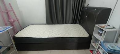 Katil Divan Single + Tilam 7 Inci