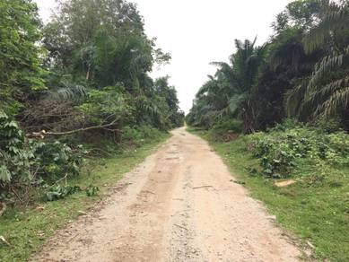 Agricultural Land in Klang, SGR