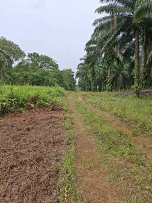 Agricultural Land in Kota Tinggi, JHR