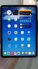 iPad Pro M1 256GB