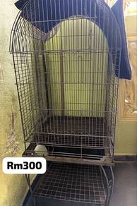 sangkar burung