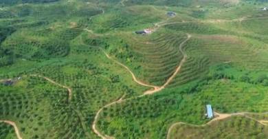 Agricultural Land in Kuantan, PHG