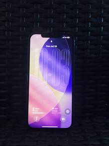iphone 12 promax