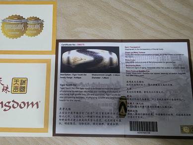 WTS Antique Dzi Tiger Tooth