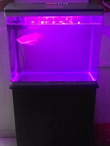 fish and aquarium set