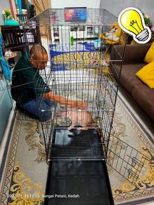 Cat Home 3 Tingkat
