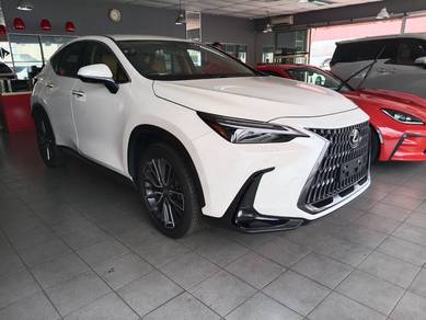 2023 Lexus NX 250 LUXURY