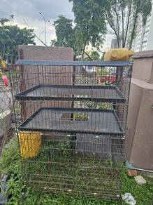 sangkar kucing