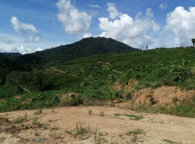 Others Land in Others, SBH