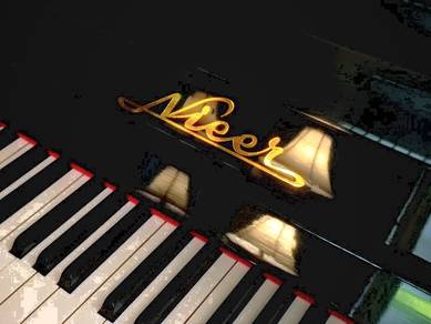 Nieer Studio Piano 4 Yrs Warranty