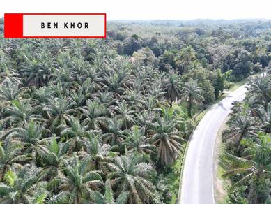 Agricultural Land in Karangan, KDH