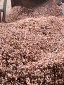 Wood Shavings｜Habuk Kayu